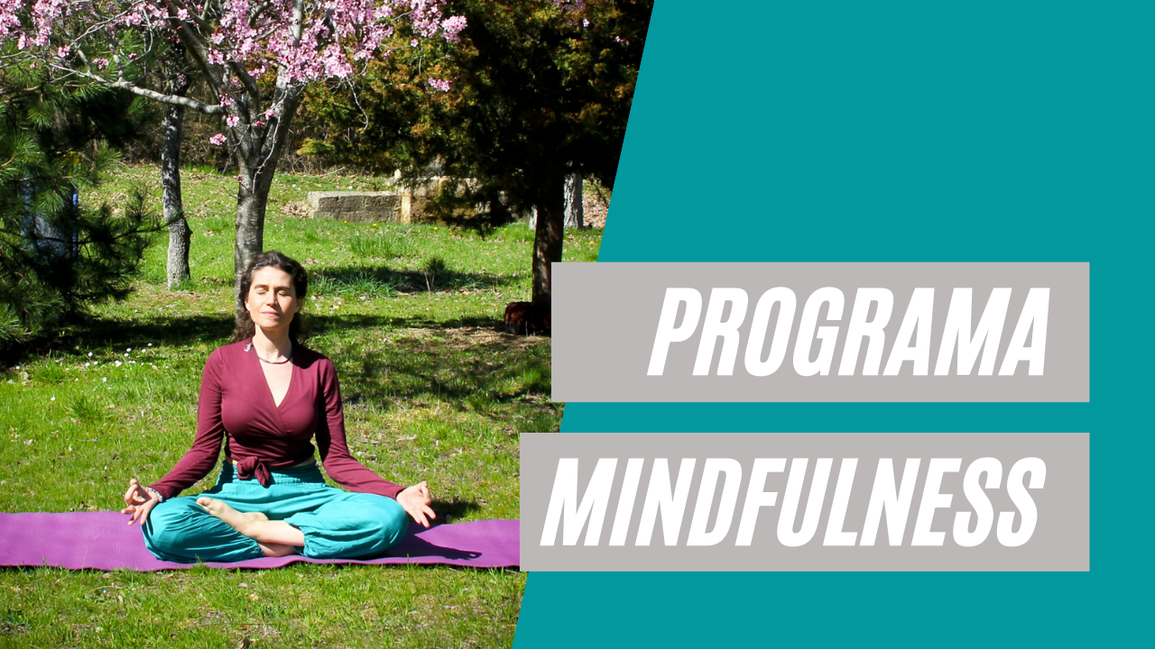 Programa Mindfulness por Minerva Tejero